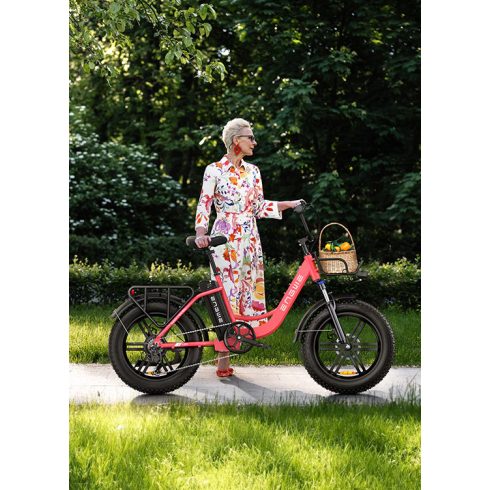 ENGWE L20 elektromos kerékpár 250W | 48V | 13ah | 25km/h 