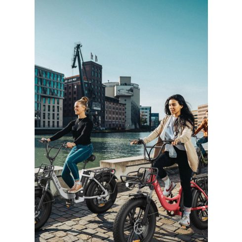 ENGWE L20 elektromos kerékpár 250W | 48V | 13ah | 25km/h 